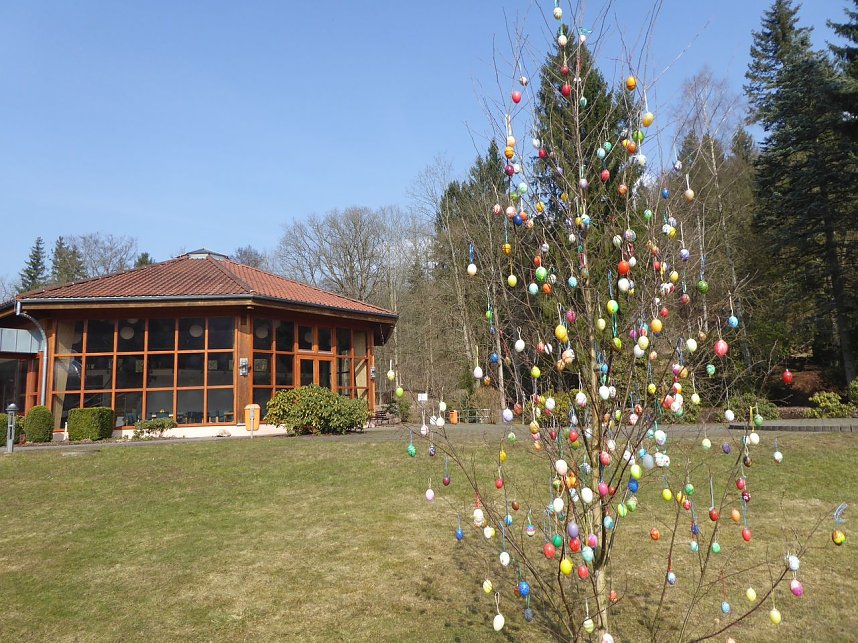 Osterbaum in S&uuml;lzhayn geschm&uuml;ckt