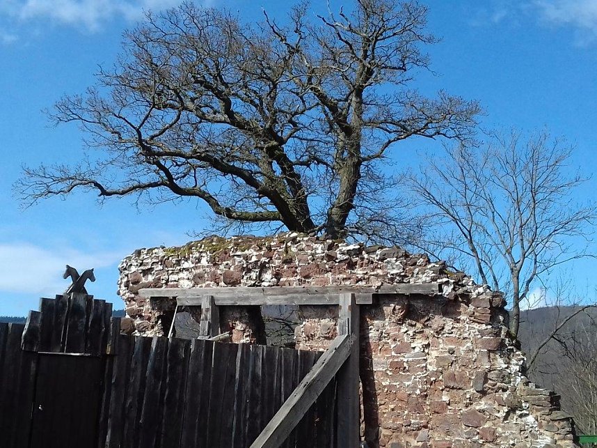 Oster-Abstecher nach Neustadt