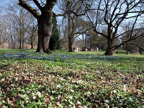Fr&uuml;hling im Park Hohenrode