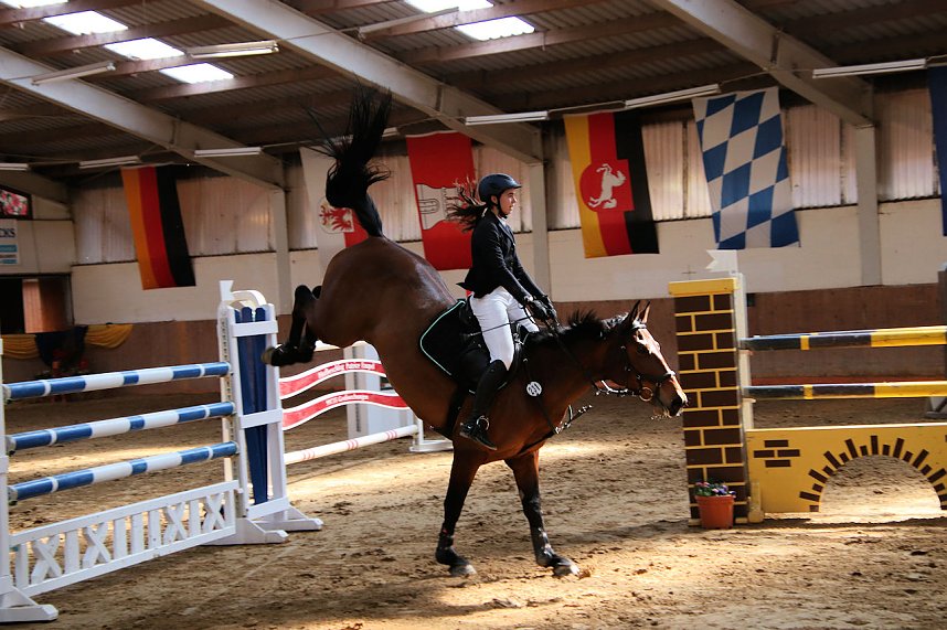 Hoffest und Reitturnier in Wollersleben