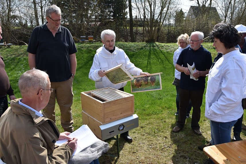 Wellness f&uuml;r die Bienen