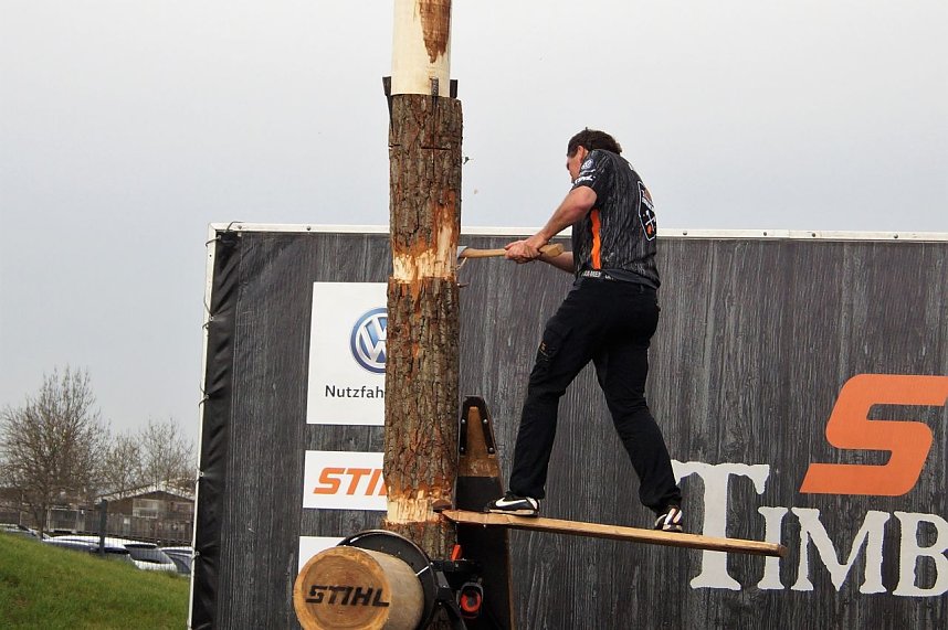 Sportholzf&auml;ller