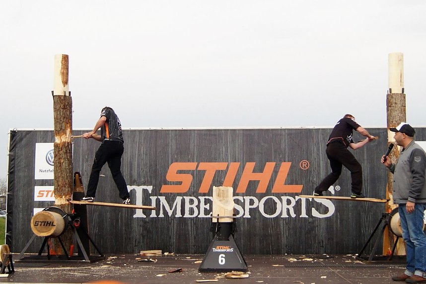 Sportholzf&auml;ller