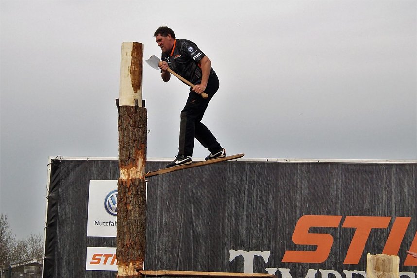 Sportholzf&auml;ller