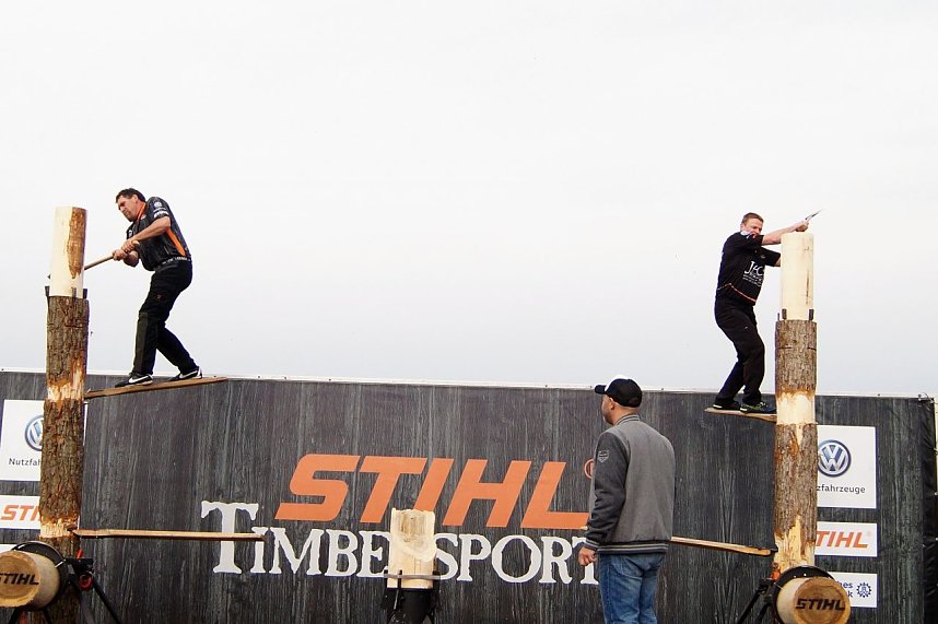 Sportholzf&auml;ller