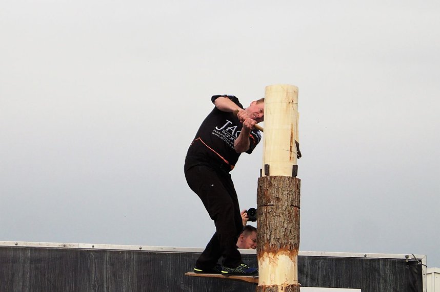 Sportholzf&auml;ller