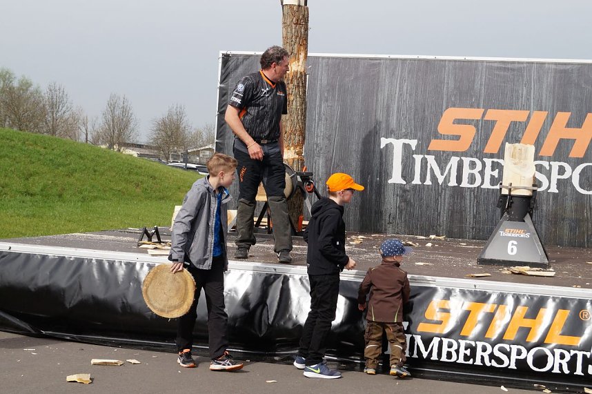 Sportholzf&auml;ller