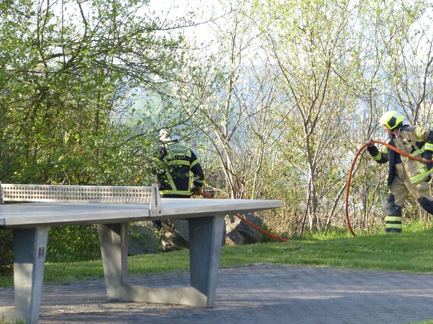 Grasnarbe hatte Feuer gefangen