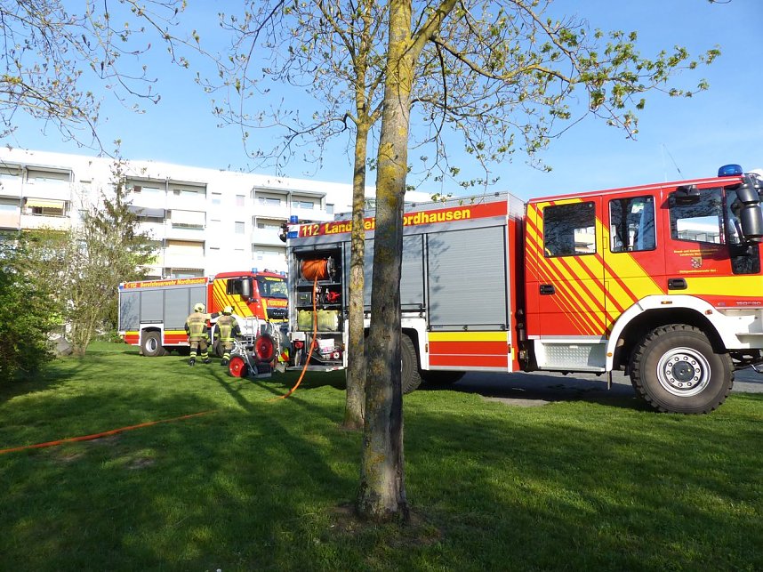 Grasnarbe hatte Feuer gefangen