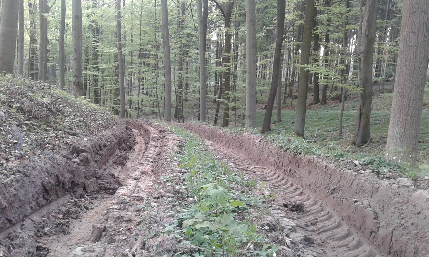 Bei Fronderode: Verm&uuml;llt und zerfahren