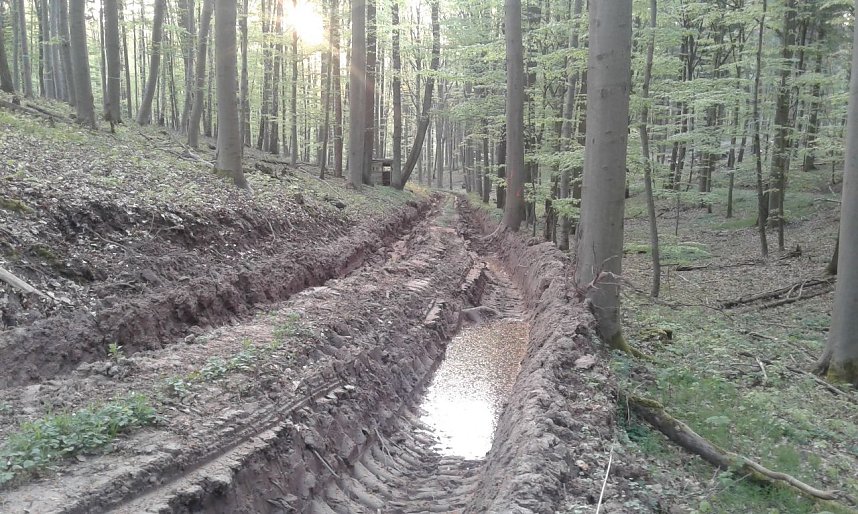 Bei Fronderode: Verm&uuml;llt und zerfahren
