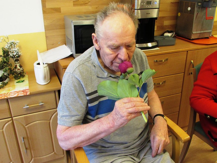 Der Fr&uuml;hling hat viele Facetten