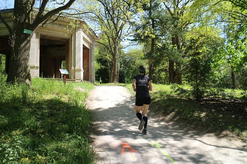 Benefizl&auml;ufe im Park Hohenrode und auf dem Hohekreuz-Sportplatz