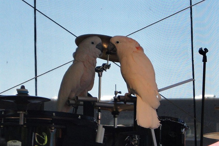 23. Autofr&uuml;hling