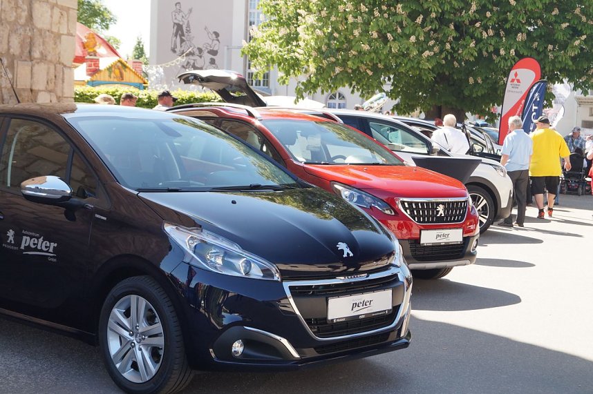 23. Autofr&uuml;hling