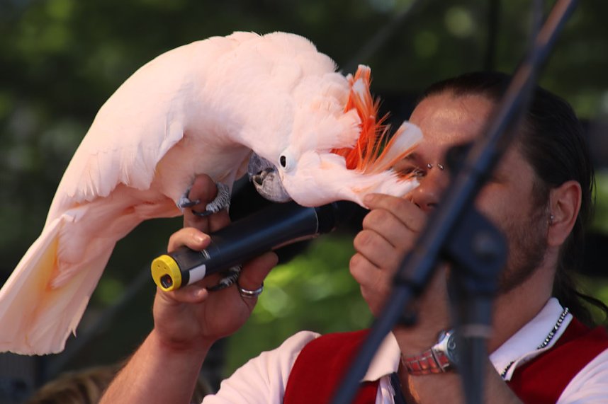 Autos und jede Menge Kultur