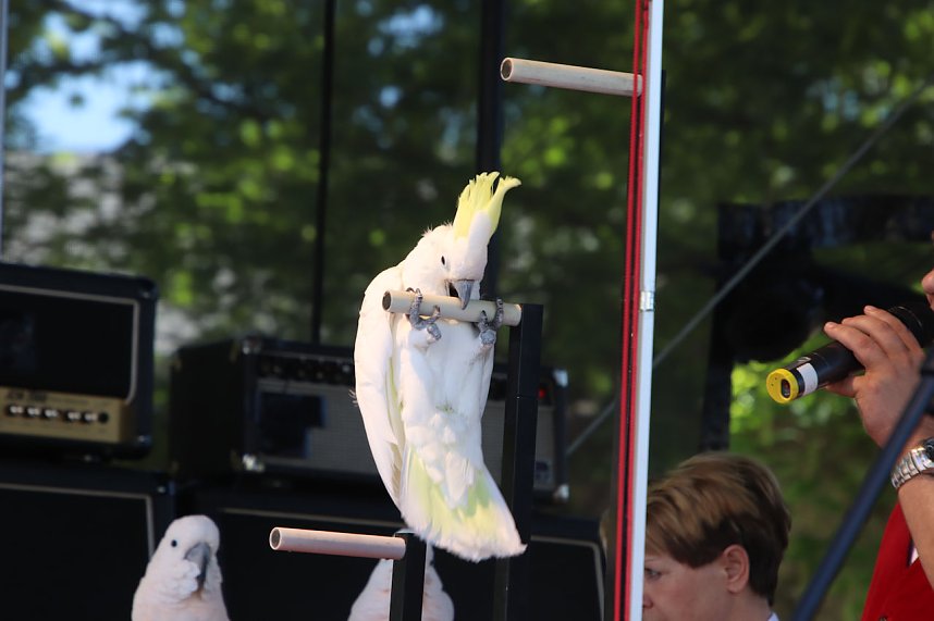 Autos und jede Menge Kultur