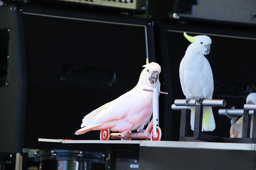 Autos und jede Menge Kultur