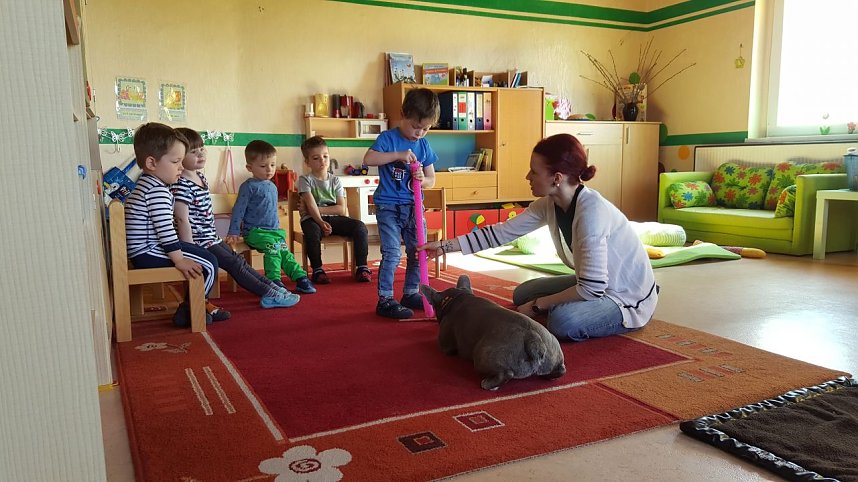 Kindergartenf&ouml;rderverein organisierte tolles Projekt