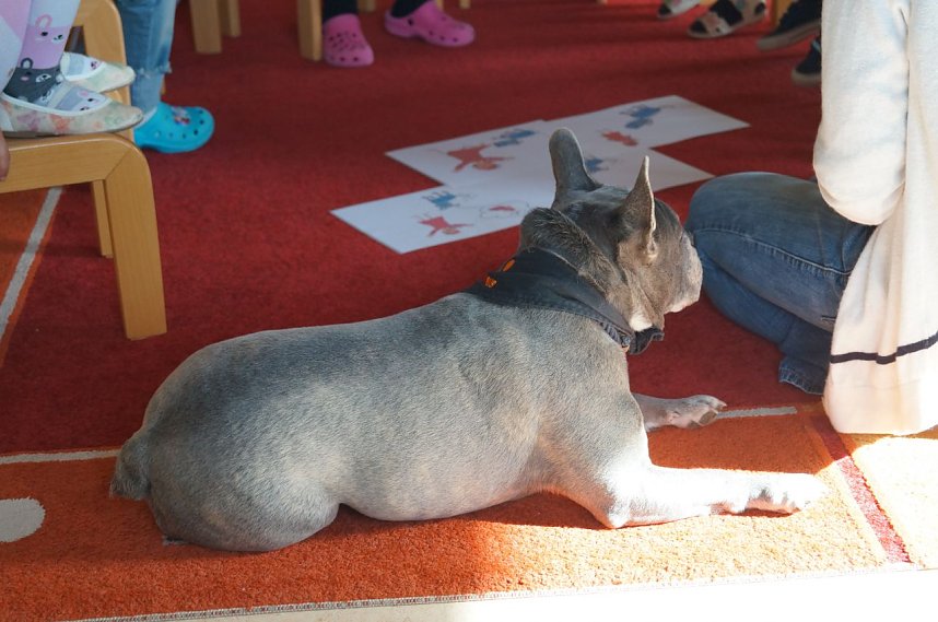 Kindergartenf&ouml;rderverein organisierte tolles Projekt