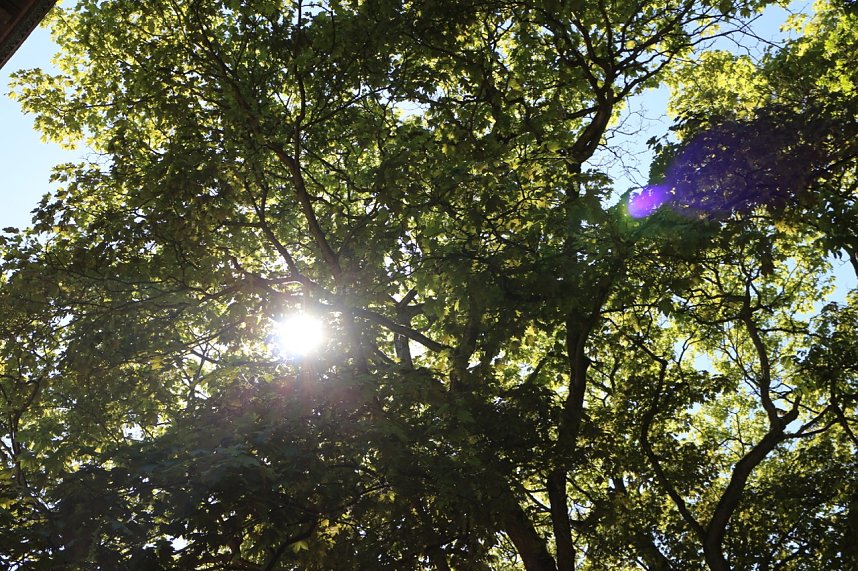 Parkfest in Hohenrode