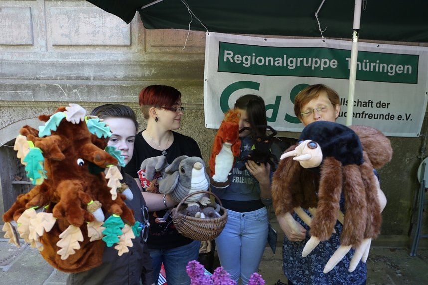 Parkfest in Hohenrode