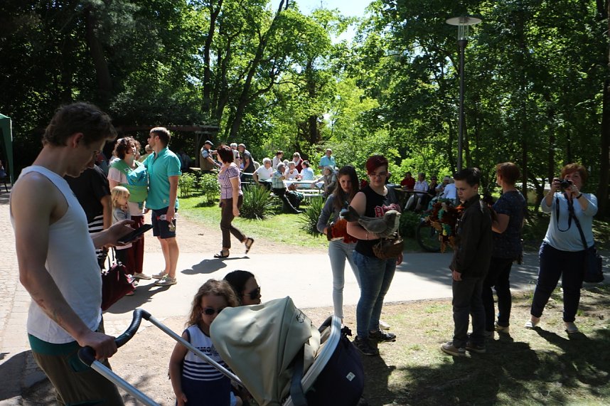 Parkfest in Hohenrode