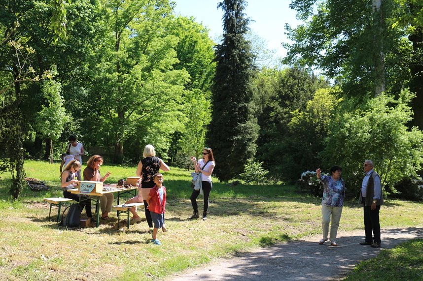 Parkfest in Hohenrode