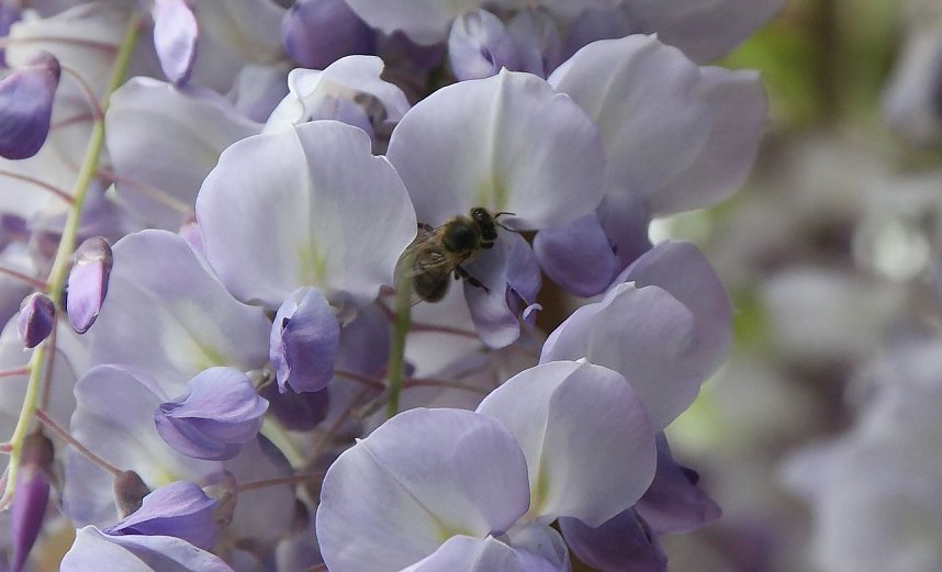 Hier gibt es gen&uuml;gend "Futter"