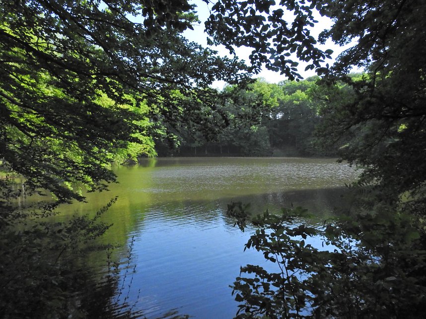 Unterwegs in Liebenrode
