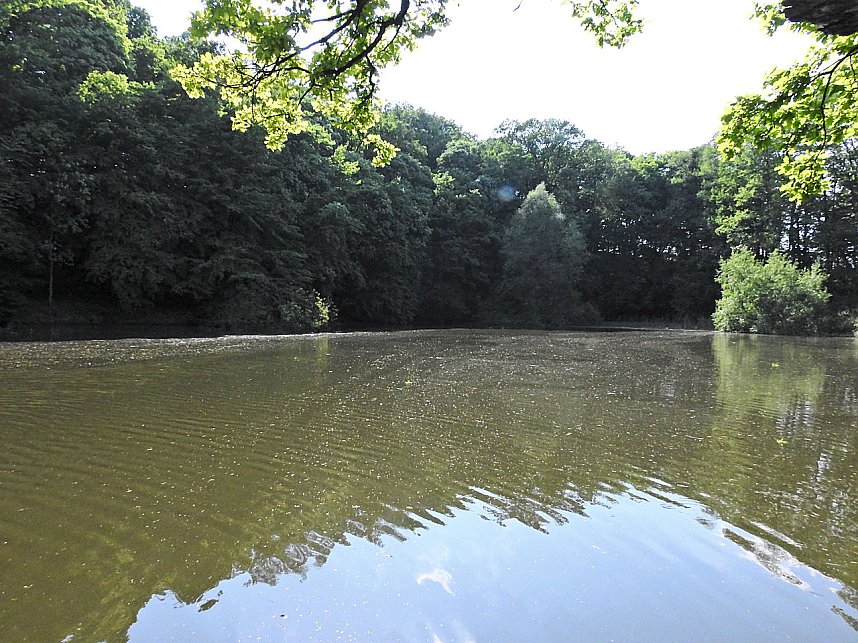 Unterwegs in Liebenrode