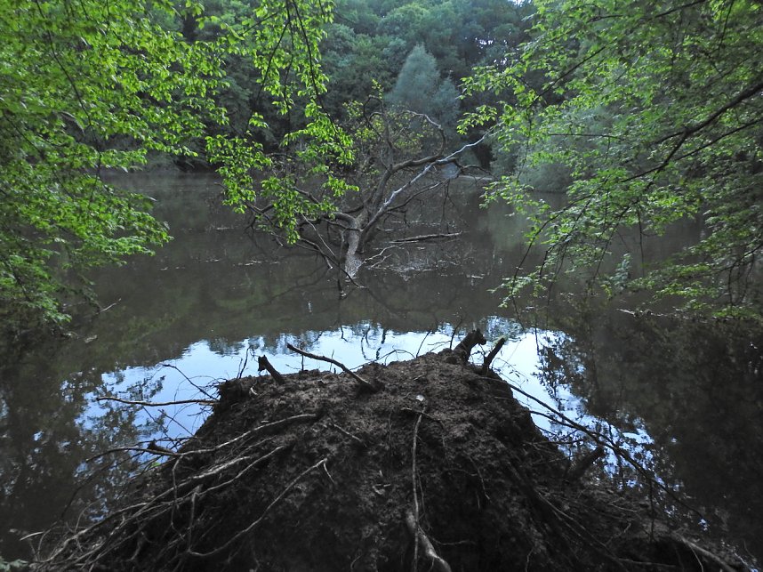 Unterwegs in Liebenrode