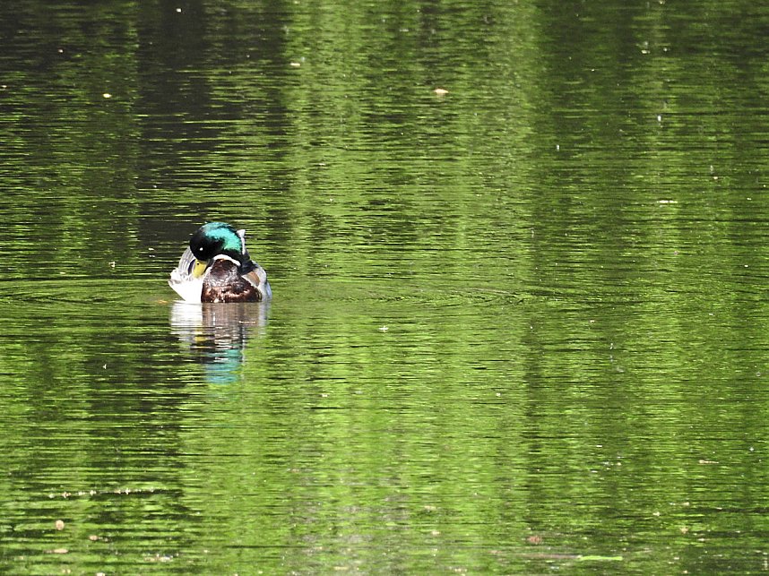 Unterwegs in Liebenrode