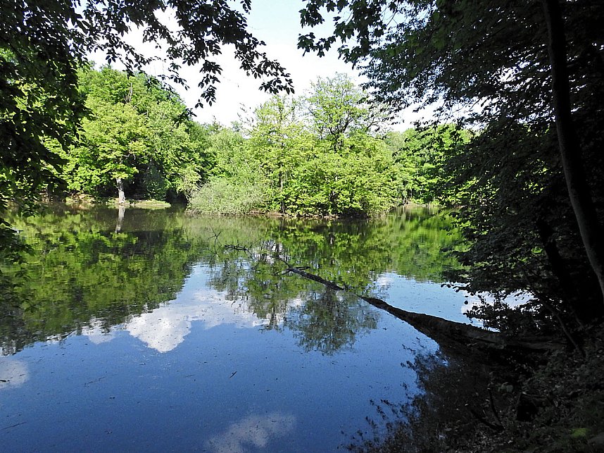 Unterwegs in Liebenrode