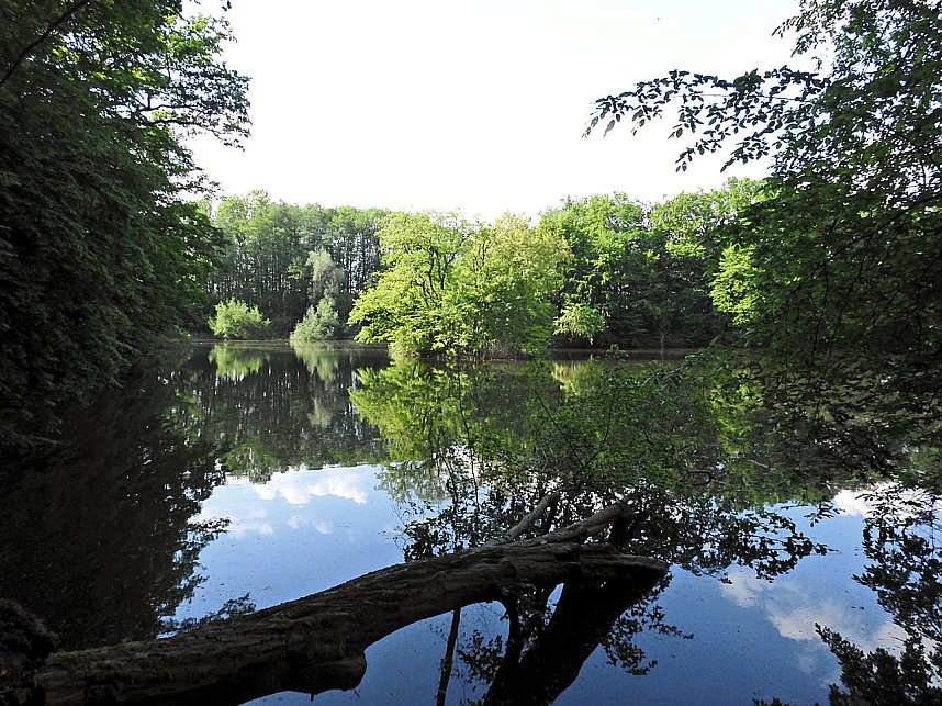 Unterwegs in Liebenrode