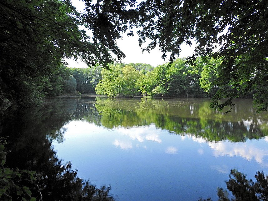 Unterwegs in Liebenrode