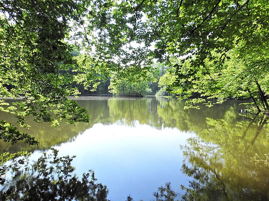 Unterwegs in Liebenrode