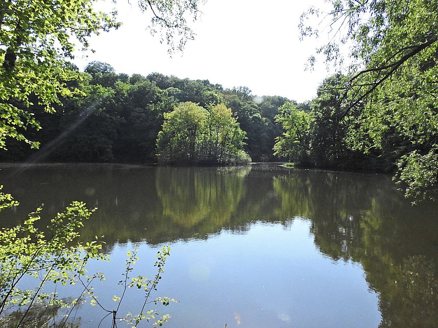 Unterwegs in Liebenrode