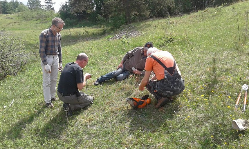 BUND-Einsatz 65: F&uuml;r Katzenpf&ouml;tchen und Sand-Veilchen