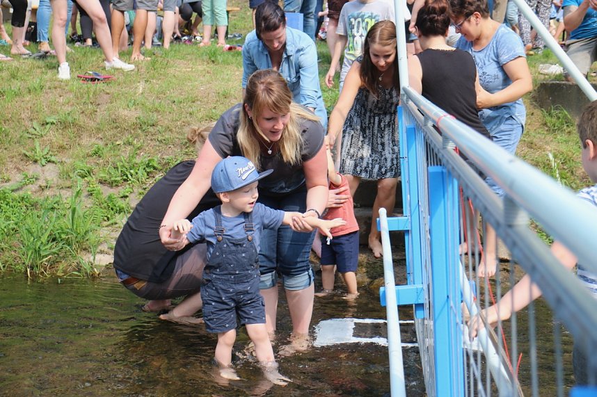 Anwassern an der Zorge