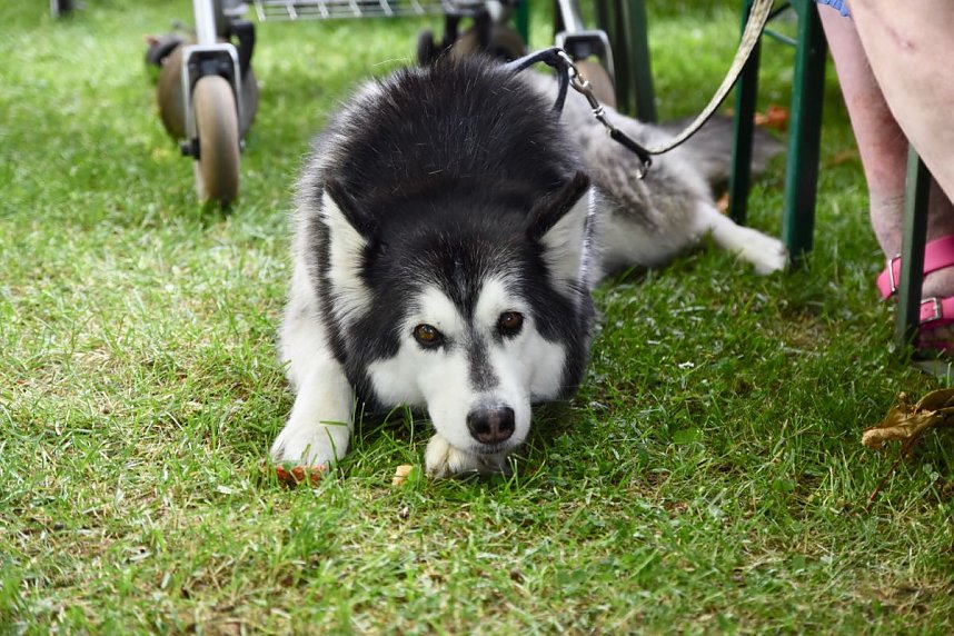 WBG Fest in Bleicherode