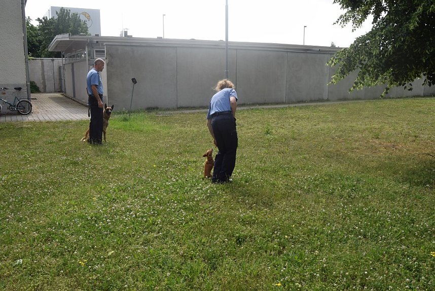 &Uuml;berraschungen zum Kindertag