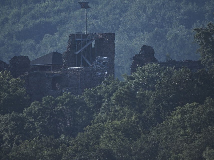 Natur pur bei am Neust&auml;dter Rosenteich