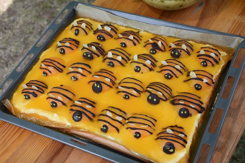 Neu-Imker erhielten Zertifikate