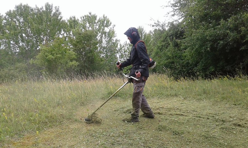 Gegen das Insektensterben