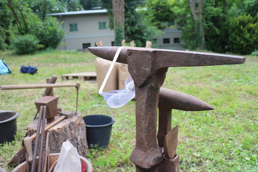 Experimente im Park Hohenrode