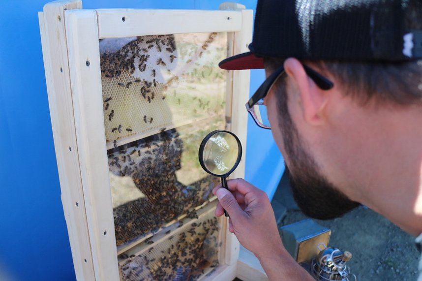 Europapicknick an der Rothleimm&uuml;hle