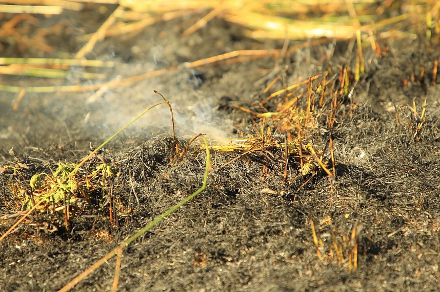 B&ouml;schungsbrand in Kleinfurra