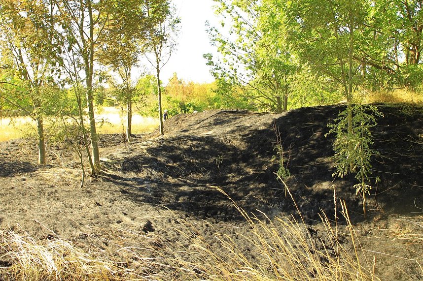 B&ouml;schungsbrand in Kleinfurra