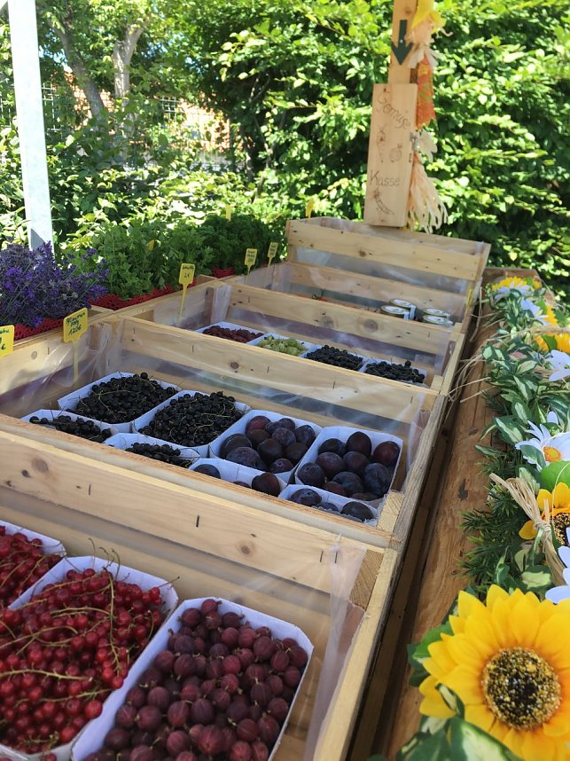 Frische Bioware aus dem Gartenbau Salza